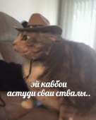 15599929342493.png