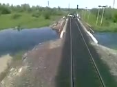 train vs cows.mp4