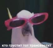 Rn6ST7kGwKk.jpg
