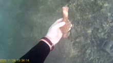 целый алабастрон.webm