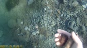 подводный мир 1.webm