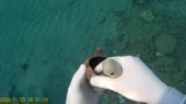 часть канфара.webm