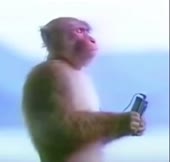 15986174956063.mp4