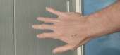 IMG20201218113931.jpg