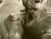 images (5).jpeg