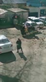 15572521866540.mp4