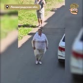 15932548952730.mp4