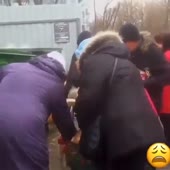 16012037263880.mp4