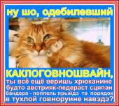 16072833624300.jpg