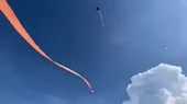 15989619424860.mp4