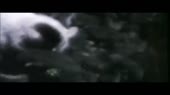 1111111111111.webm