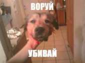 15814840442020s.jpg