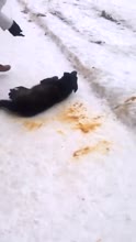 Неуловимый мститель.webm