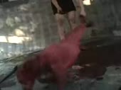15398802706132.webm