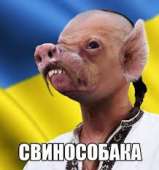 6A2E238E-3B3E-43EB-8494-85FB6C97C6B3.jpeg