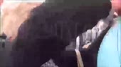 15889527353530.webm