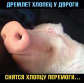 ХОХОЛ (140).jpg