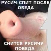 16090965049650.jpg