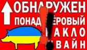 ХОХОЛ (4).mp4