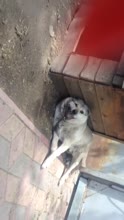 Буранчик.mp4