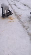Неуловимый мститель.webm