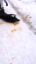 Неуловимый мститель.webm