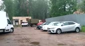 Собачка играет.mp4