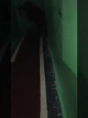 16082777908070.webm