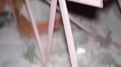 videoplayback (1).mp4