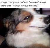 Приколы-для-даунов-разное-6208727.jpeg