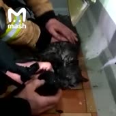 16093145213042.mp4