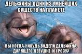тнн 2.jpg