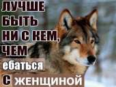 тнн 22.jpg