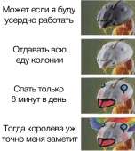 тнн 277.jpg