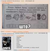 тнн 128.png