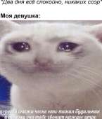 тнн 9.jpg