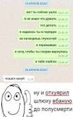 тнн 293.jpg