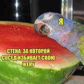 тнн 261.jpg