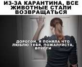 тнн 39.jpg