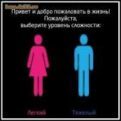 тнн 247.jpg