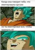 тнн 286.jpg