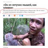 счаслив в лесу без тян.png