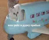 1609770110127.jpg