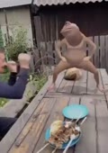 15929300789130.mp4