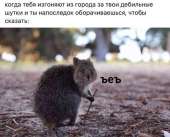 16003781309160.png
