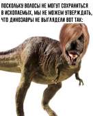 2LqGekFqQ4.jpg