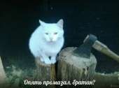 16092768785170.jpg
