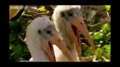 16013925362210.webm