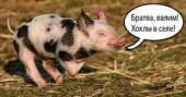 Без названия (1).jpg