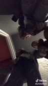 много тян.mp4